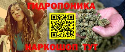 крисы Аргун