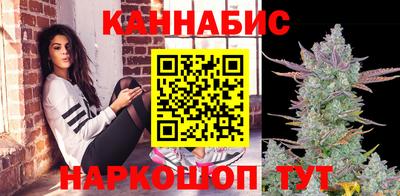 крисы Аргун